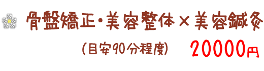 骨盤矯正・美容整体×美容鍼灸コース90分